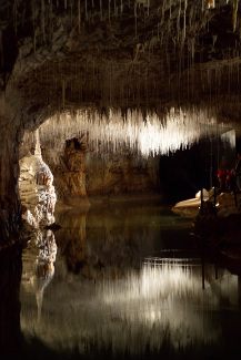 Concrétion dans la grotte de Choranche